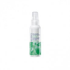 14886 Foot Works Mint and Aloe Cooling Foot Spray